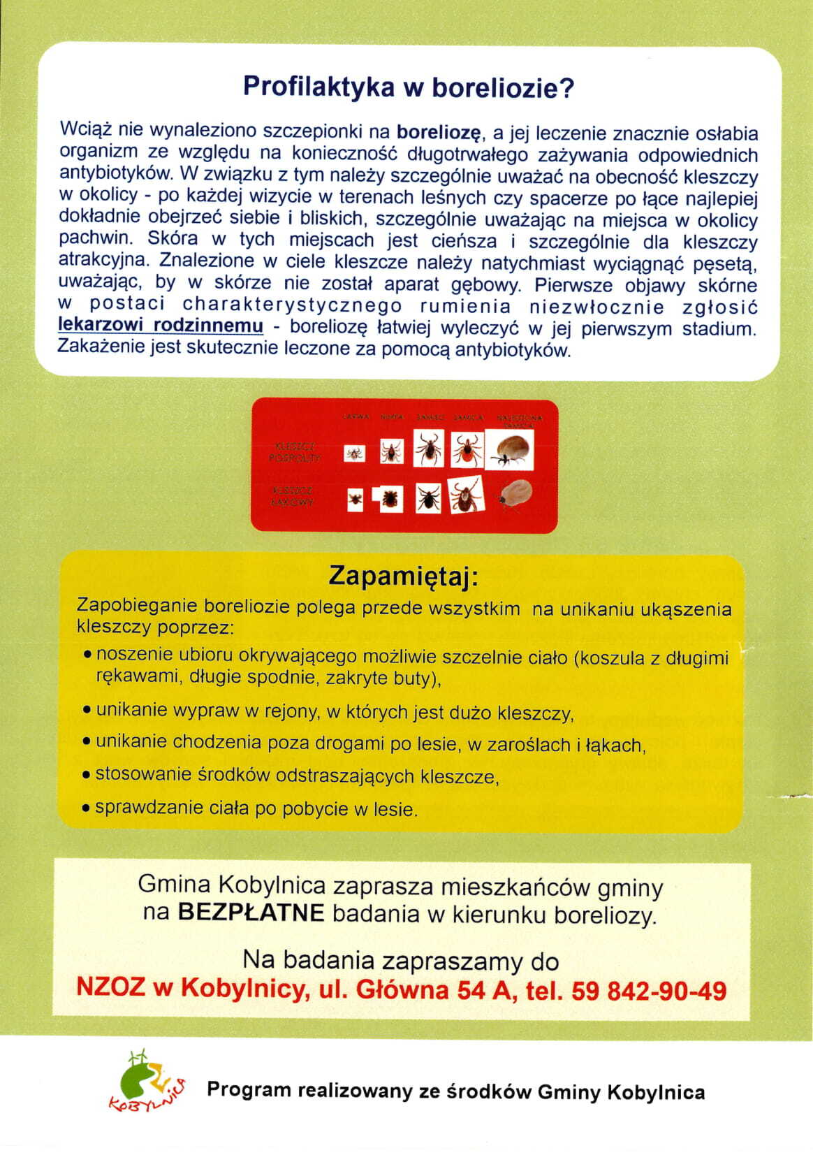 ulotka przedstawiająca Program profilaktyki i wczesnej diagnostyki boreliozy w populacji osób dorosłych w Gminie Kobylnica na lata 2021 - 2025 
