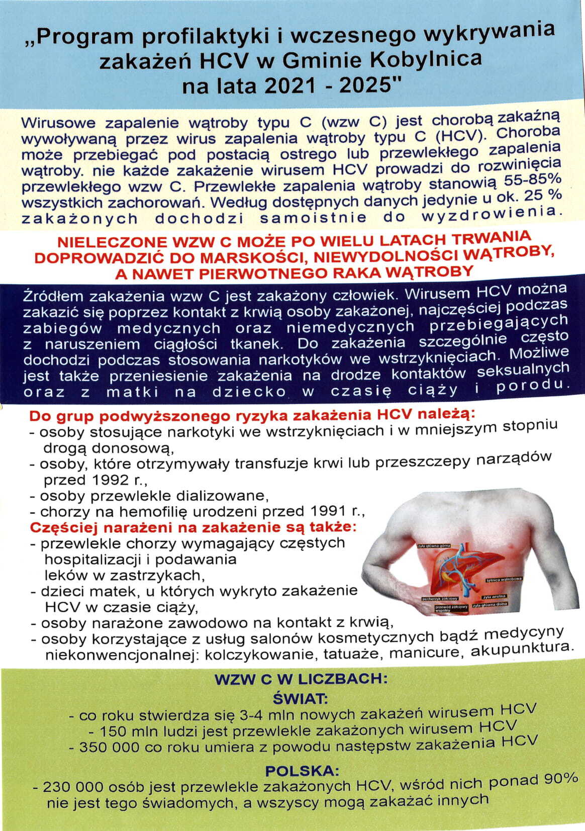 ulotka przedstawiająca program profilaktyki i wczesnego wykrywania HCV w Gminie Kobylnica na lata 2021 – 2025 
