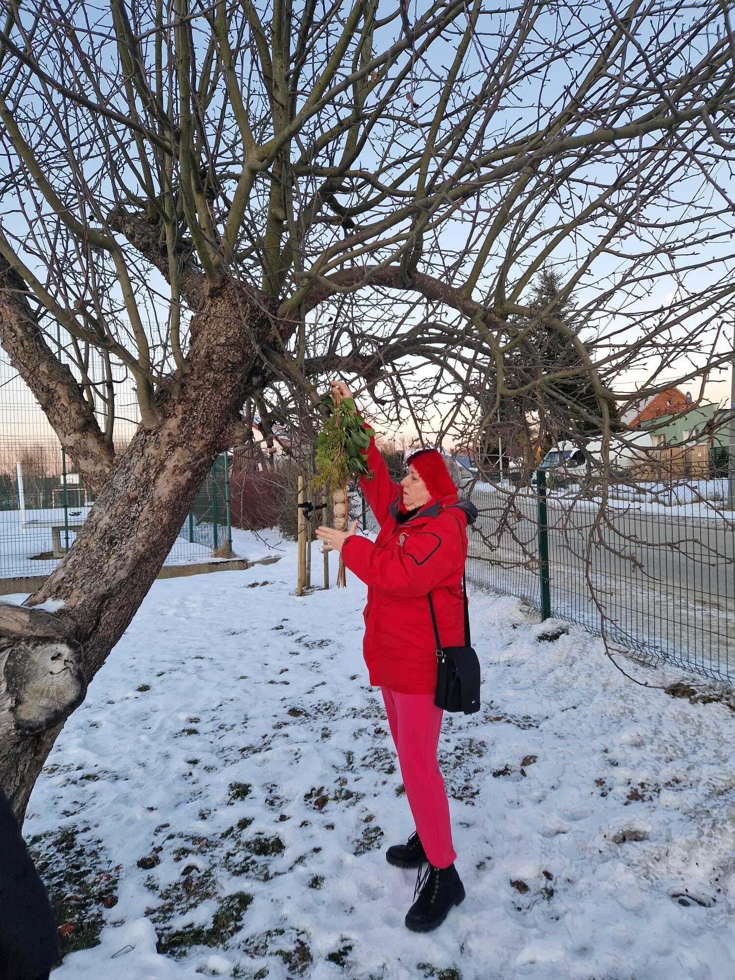 uczestniczka warsztatów wieszająca na drzewie gotowy karmnik z gałązek