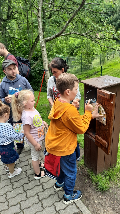 uczestnicy wycieczki spacerujący po terenie zoo