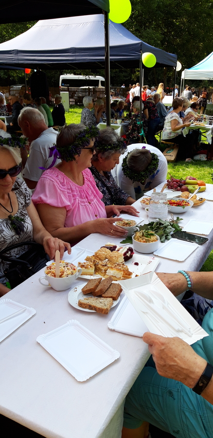 seniorzy przy stole siedzący podczas pikniku senioralnego